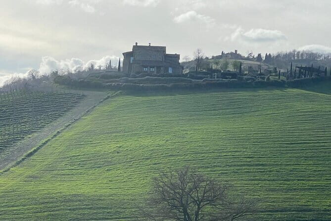 Tuscany Tour Siena - San Gimignano - Winery - Chianti Road (Strada Statale 222 Chiantigiana): Wine Tasting With Tuscan Food