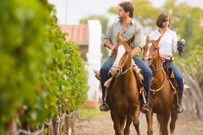 Tuscany Tour Siena - San Gimignano - Winery - Price and Logistics: Is $816.22 Worth It?