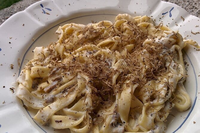 Tuscany Truffle Hunt: A Culinary Adventure - The truffle hunt: how the experts and dogs do the work