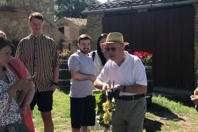 Tuscany Wine & Hills from Florence - Small Group - Key Things I’d Plan For