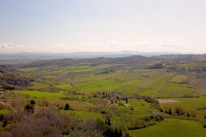 Tuscany Wine & Hills from Florence - Small Group - Montalcino: Brunello di Montalcino tasting and cellar time