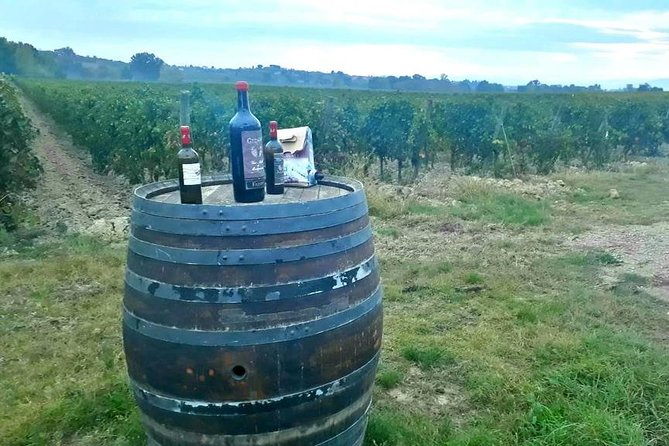 Tuscany Wine & Hills from Siena - Small Group - Val d’Orcia stop: what the UNESCO scenery adds (plus another wine moment)