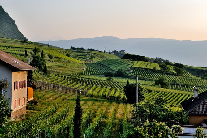 Tuscany Wine Tour from Rome with Private Driver - Pienza: architectural calm and two hours to wander