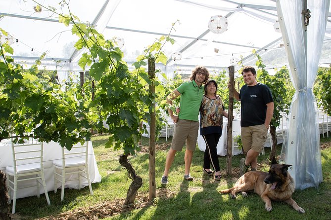 Tuscany Wine Tours in a family winery Podere Pellicciano - Key Points to Know Before You Go