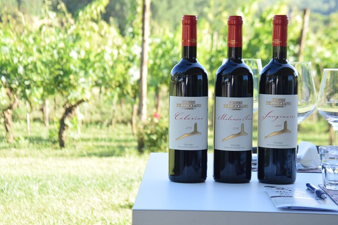 Tuscany Wine Tours in a family winery Podere Pellicciano - Step-by-Step Itinerary: Vineyards, Winery Rooms, and the Wine Cellar