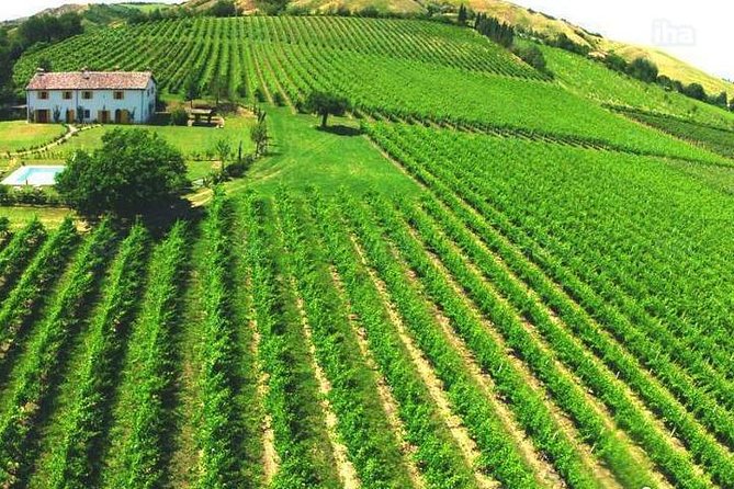 Under the Tuscan Sun Tour from Rome-Cortona & Montepulciano 1 day - Cortona: medieval streets with Under the Tuscan Sun filming spots