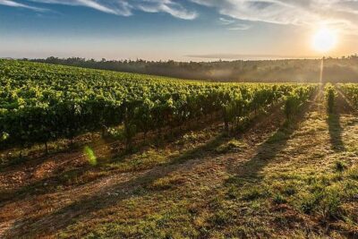 Under the Tuscan Sun Tour from Rome-Cortona & Montepulciano 1 day - Villa Bramasole photo stop: quick, scenic, and very practical