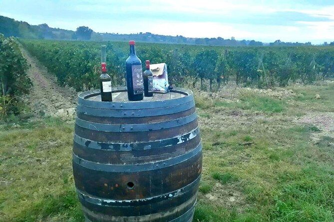 Vespa Tour with Lunch&Chianti Winery from Siena - The Route Highlights: SS 222, Castellina in Chianti, and a Radda Pass