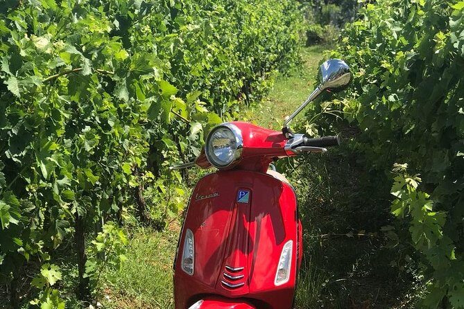 Vespa Tour with Lunch&Chianti Winery from Siena - Monteriggioni: When a Wall Town Becomes a Real Pause