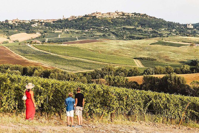 Vino Nobile di Montepulciano Wine Tour - Meet the producers - Why Montepulciano’s Meet-the-Producers Style Makes Sense