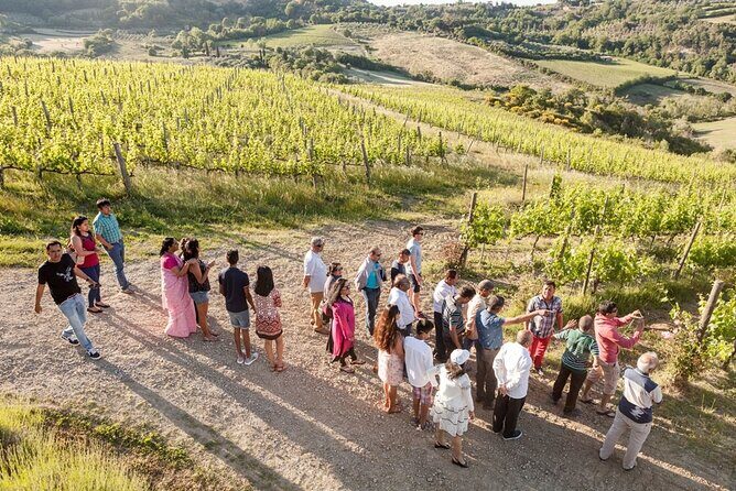 Vino Nobile di Montepulciano Wine Tour - Meet the producers - Getting There From Valdichiana Living: A Simple, Efficient Start