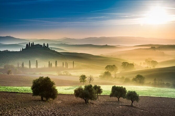 Visit to the Cellar with Wine & Food Tasting over the Val d'Orcia - Key points to know before you go