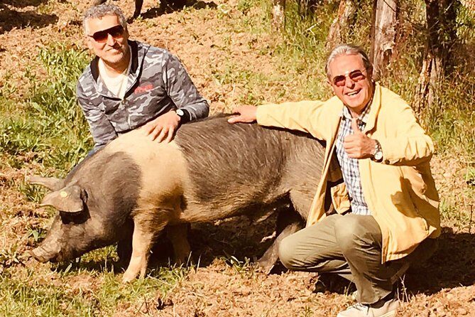 Visit to the Cinta Senese farm in Montepulciano - Key Highlights You’ll Notice Fast