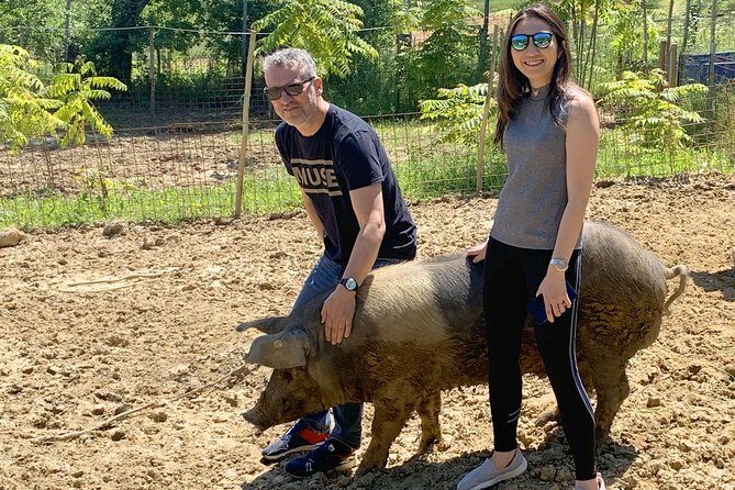 Visit to the Cinta Senese farm in Montepulciano - A Quick Look at the Cellar and How the Farm Makes Food