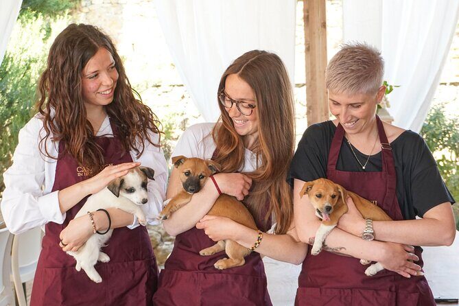 Wine and food tasting in an organic family winery - Welcome Aperitivo: Settle In Before the Wine
