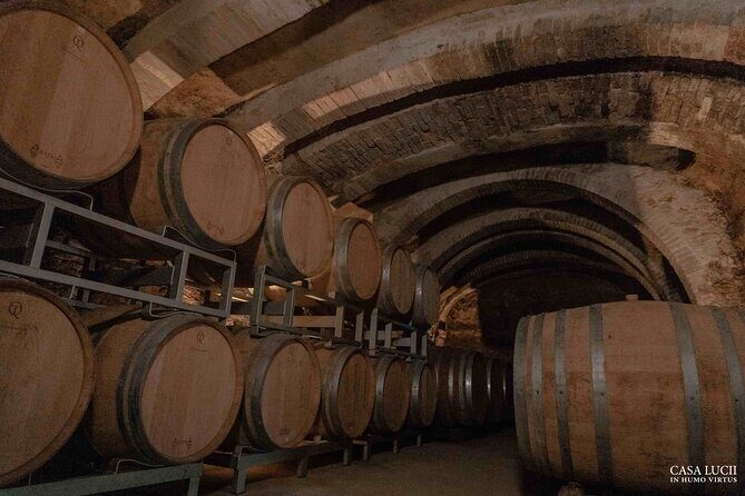 Wine and food tasting in an organic family winery - Lunch Plates, Freshness, and the Texture of Tuscan Food