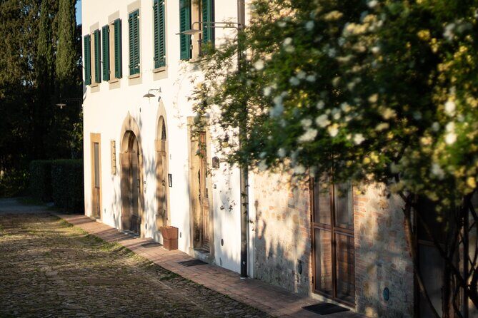 Wine and food tasting in an organic family winery - Meeting at Casa Lucii: The Easy Start