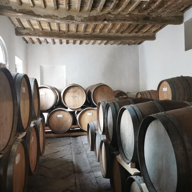 Wine Experience in an Organic Chianti Winery - Montechiaro Estate Villa: where your visit begins