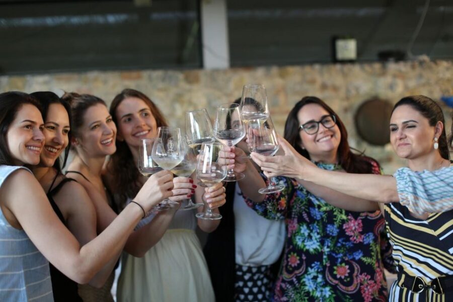 Wine Experience in an Organic Chianti Winery - Who should book Montechiaro, and who might pass?
