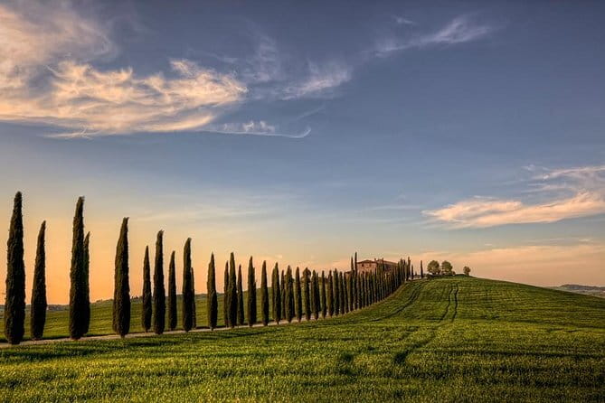 Wine Experience In Chianti Hills from Florence - Buying Bottles and Gourmet Treats: A Nice Bonus With One Caveat