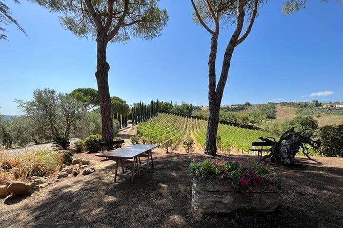 Wine Tasting and History Guided Day Tour in Chianti - Greve in Chianti: Small Town Vibes With Chianti Classico Context