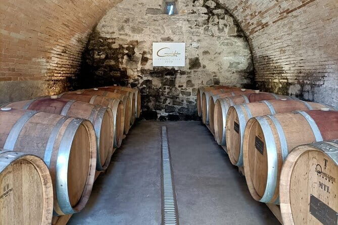 Wine Tasting Experience in Ponte Vecchio: Best Tuscany selection! - What the One-Hour Schedule Actually Does for You