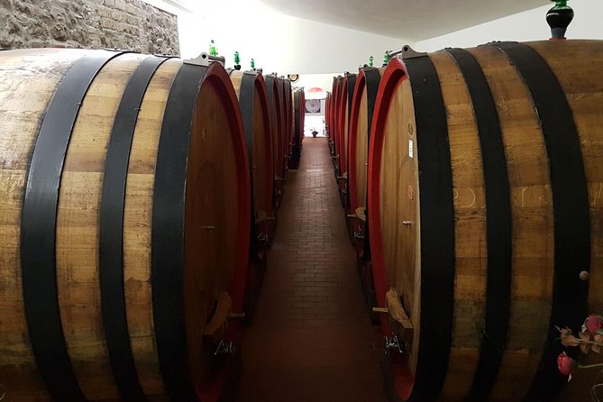 Wine tasting in Montepulciano and visit to Pienza, in Tuscany from Rome - Who this day trip suits best (and who might want alternatives)