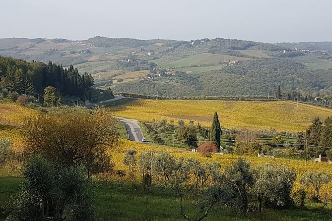 Wine tasting in Montepulciano and visit to Pienza, in Tuscany from Rome - Practical tips to make the day smoother