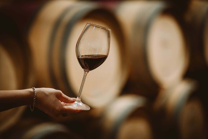 Wine Tasting & Shuttle Service - The Estate Walk at Tenuta Torciano: What You Actually See