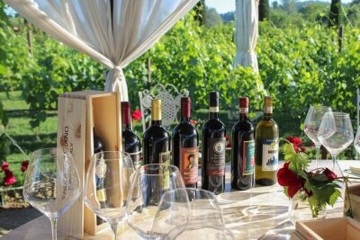 Wine Tasting & Shuttle Service - Getting to Poggibonsi: Shuttle Details Without the Hotel Convenience