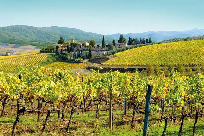 Wine Tasting & Tuscany Countryside, San Gimignano & Volterra - Group size and pacing: how to enjoy it without feeling rushed