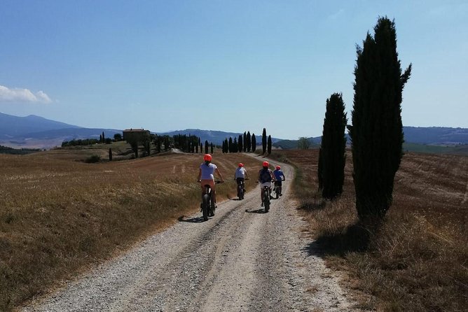 Wine Tour Ebike Experience - Two Cellars, 8 Montepulciano Wines: What You’re Really Paying For