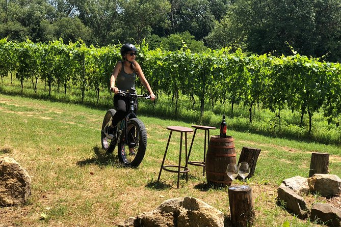 Wine Tour Ebike Experience - Weather Plan: Rain Gear Is Included, But Good Conditions Still Matter
