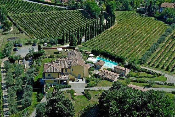 Wine Tour with Lunch and Wine Tasting - Tenuta Guardastelle: a small, family-run winery just outside San Gimignano