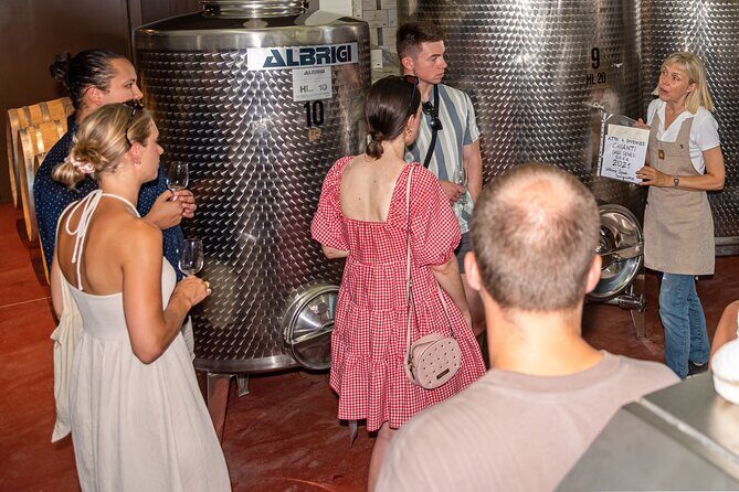 Wine Tour with Lunch and Wine Tasting - Italian wine regulation and grape lessons: how to read the bottle after lunch