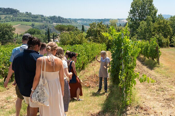 Wine Tour with Lunch and Wine Tasting - Your 2.5-hour flow: vineyard walk, cellar talk, and what the guide really focuses on