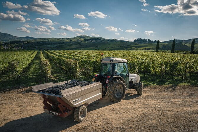 Wineries Tour and Wine Tastings in Chianti Hills from Florence - Stop One on Strada Statale 222 Chiantigiana: Your First Chianti-Style Tastings