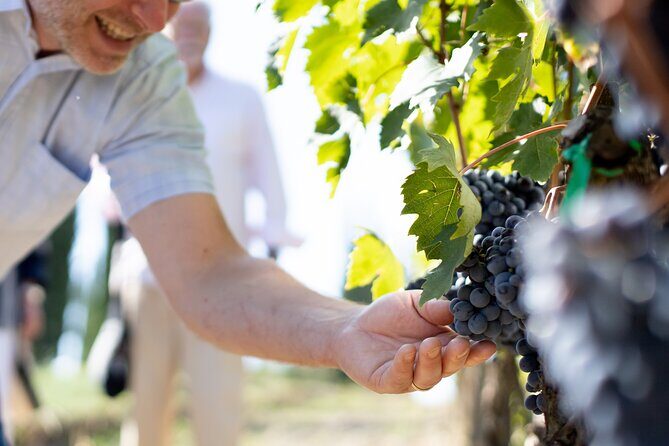 Winery Tour & Gourmet Tasting in Montalcino - Val d’Orcia Stop: A Break That Fits the Theme