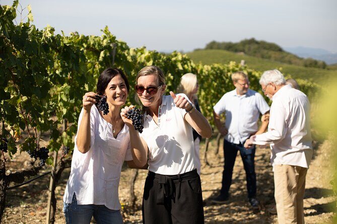 Winery Tour & Gourmet Tasting in Montalcino - How the 6-Wine, 3-Flight Format Really Helps You