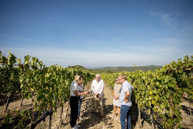 Winery Tour & Gourmet Tasting in Montalcino - Price and Value: What You’re Paying For at $96.23