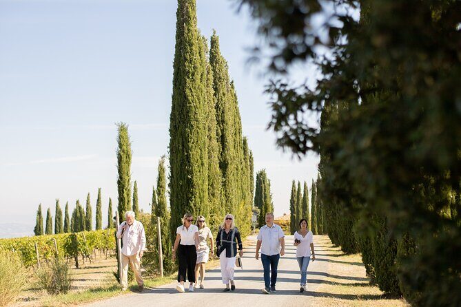 Winery Tour & Gourmet Tasting in Montalcino - Inside the Cross-Vaulted Cellar: Why Aging Vessels Matter