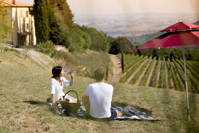 Winery Tour & picnic in the vineyard with a bottle of wine - The Brunello Cru Vineyard Walk: Terroir Made Practical