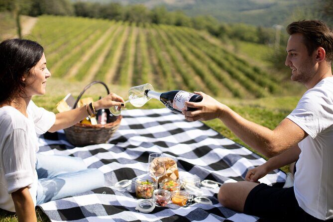 Winery Tour & picnic in the vineyard with a bottle of wine - Who This Tour Suits Best (and Who Might Want Something Else)