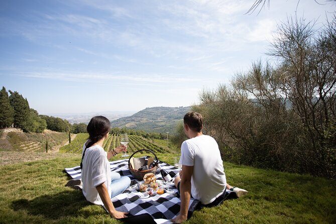 Winery Tour & picnic in the vineyard with a bottle of wine - Vaulted Cellar Time: Where Aging Changes the Story