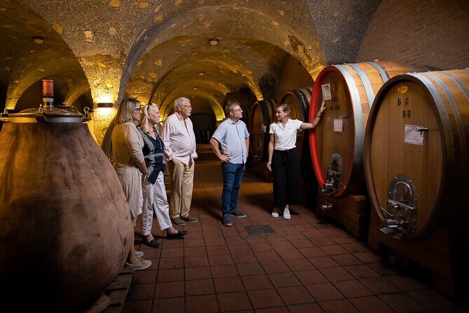 Winery tour & wine tasting in Montalcino - Corte Pavone Winery Meet-Up: where your Montalcino day starts