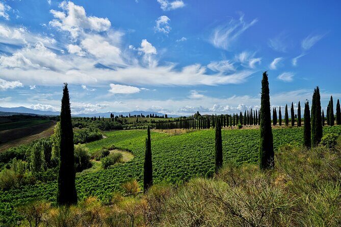 Winery tour & wine tasting in Montalcino - Price, timing, and group size: what you’re paying for