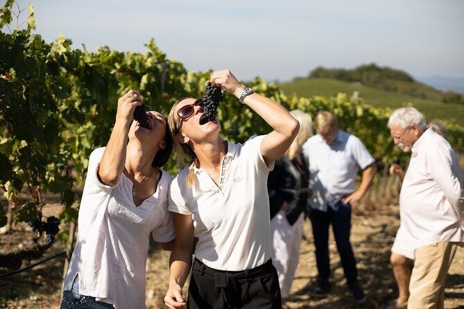 Winery tour & wine tasting in Montalcino - Practical tips for a smooth visit in Val d’Orcia