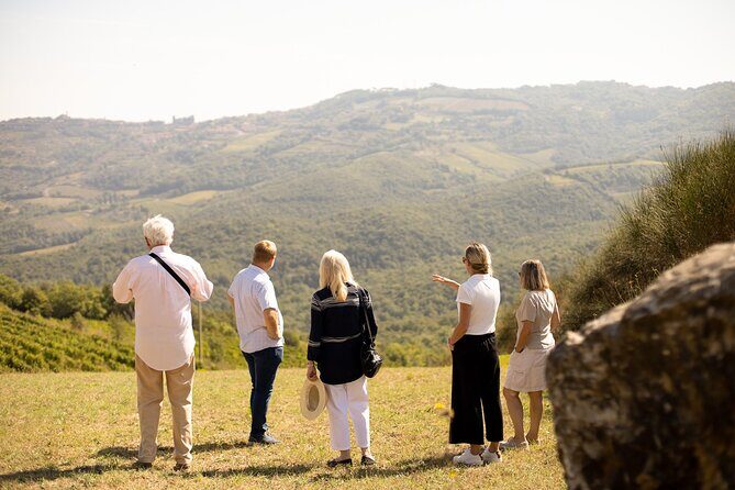 Winery tour & wine tasting in Montalcino - Walking the Vineyards on the Brunello Cru Path